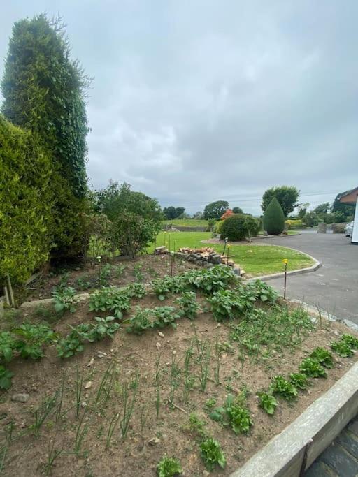 Country Cottage Close To The City. Newry Exterior foto